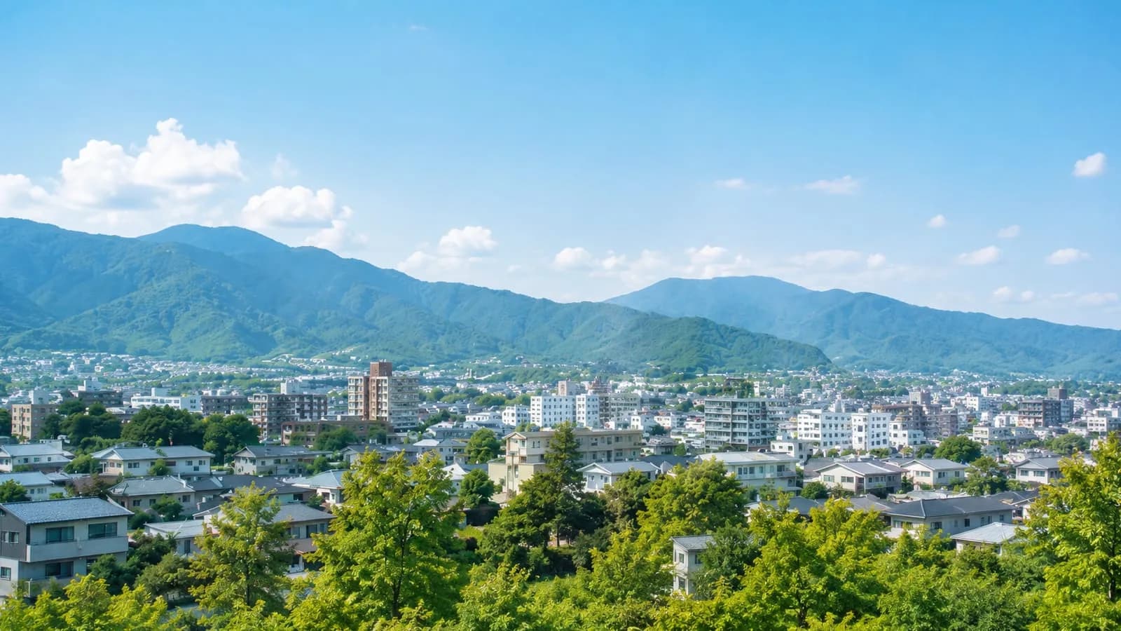 丹沢の山々を背にした秦野市の街並み